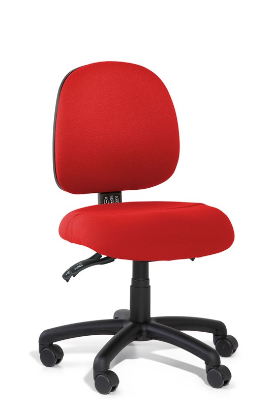 Inca Medium Back Ergonomic Office Chair